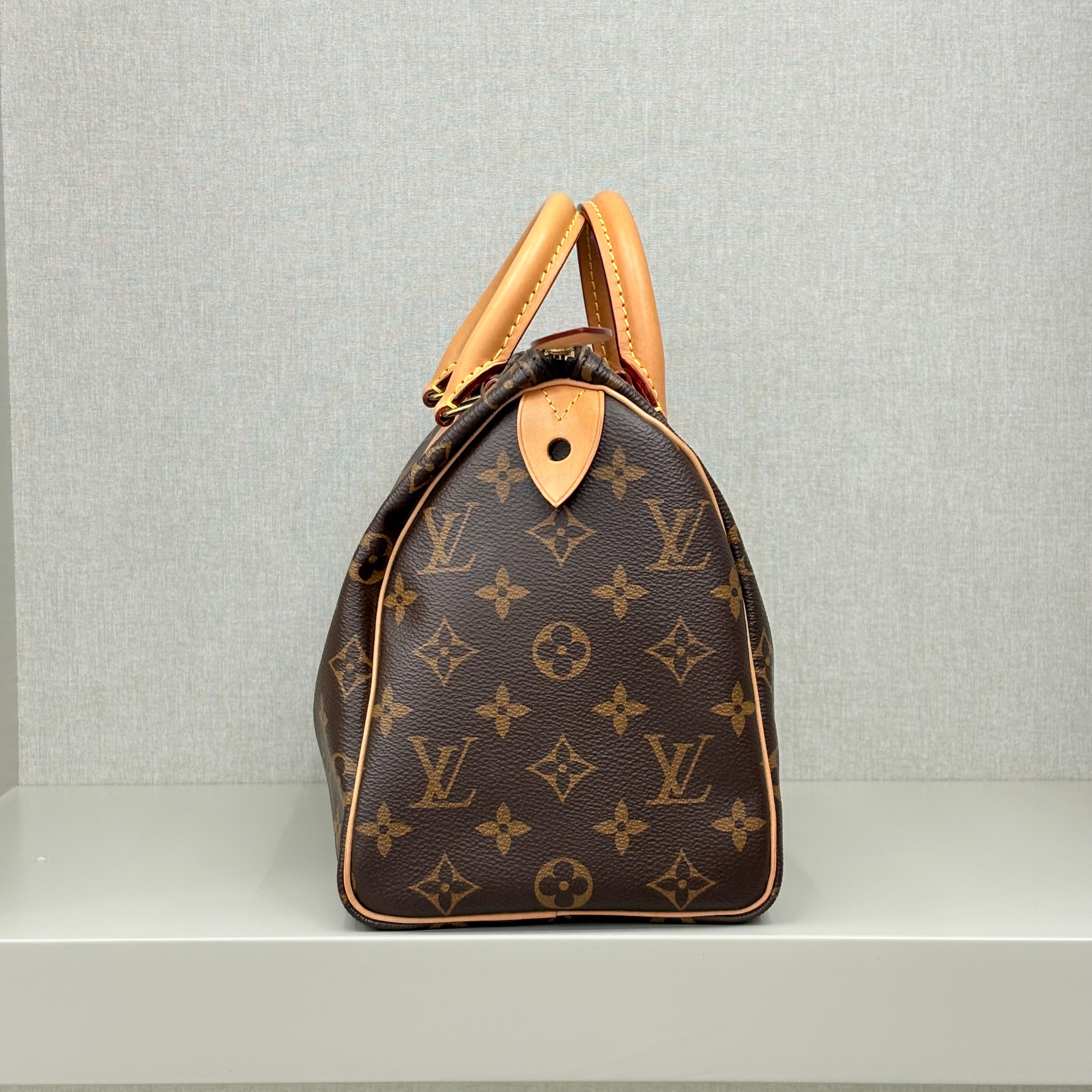 Louis Vuitton Speedy 25 Monogram Pre-Owned