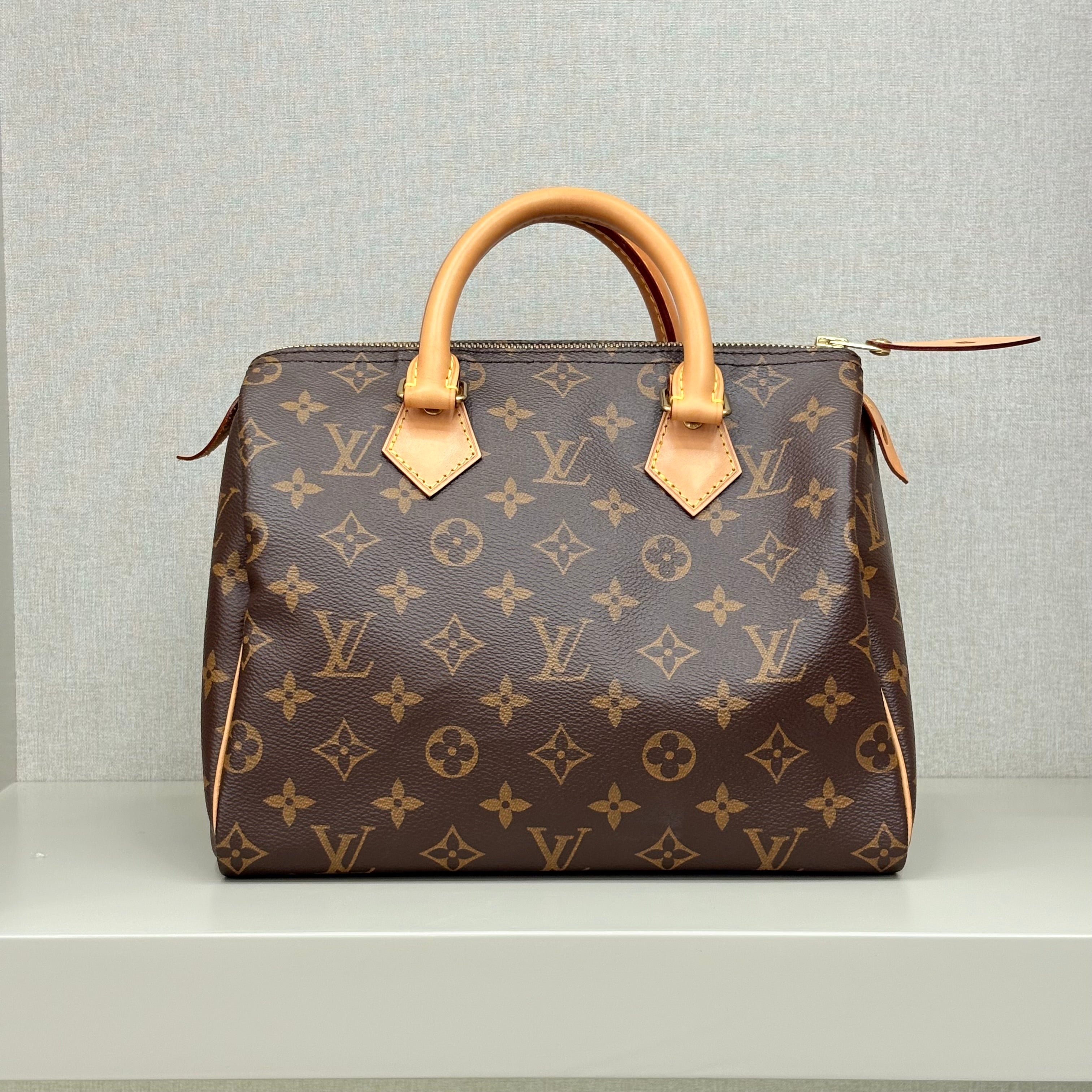 Louis Vuitton Speedy 25 Monogram Pre-Owned