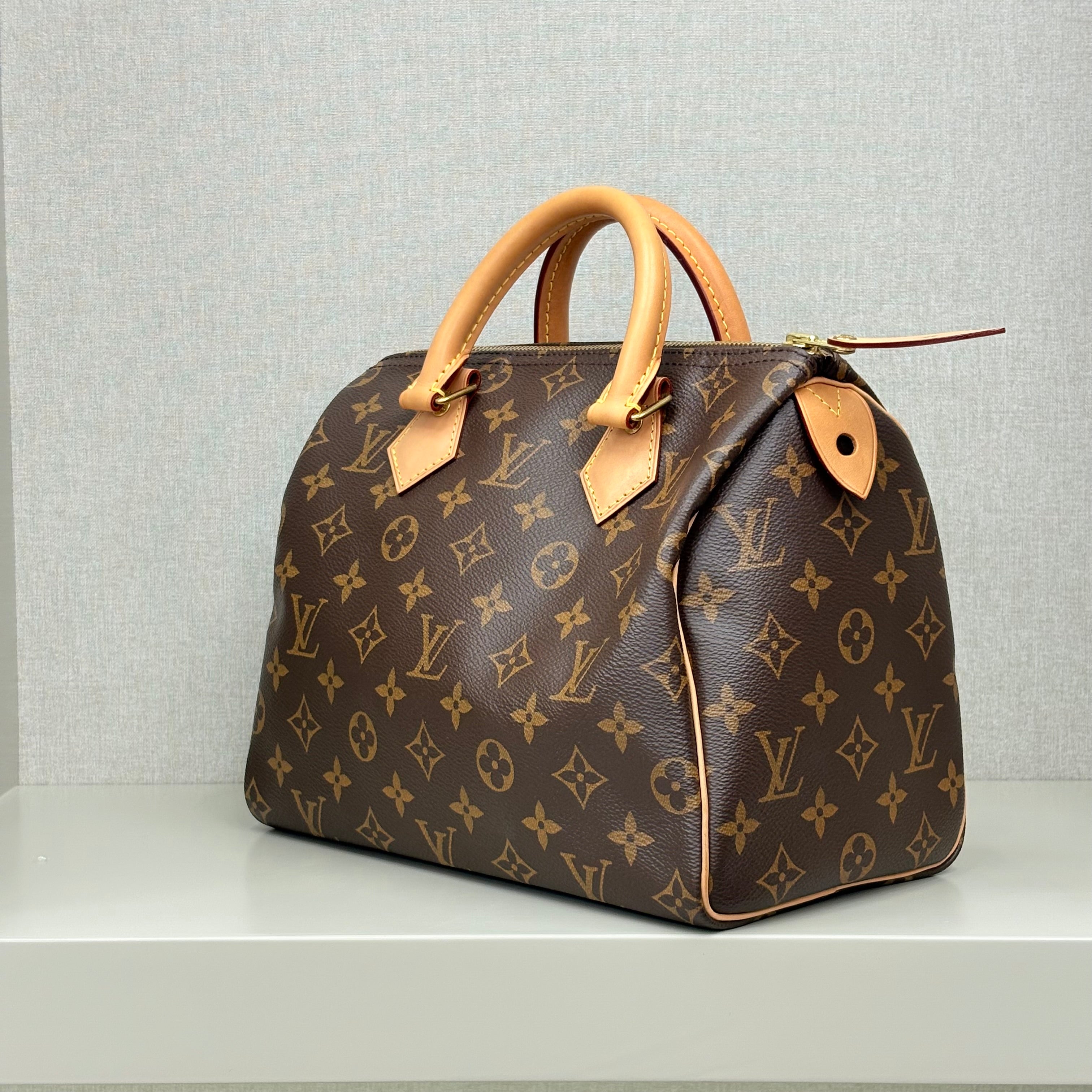 Louis Vuitton Speedy 25 Monogram Pre-Owned