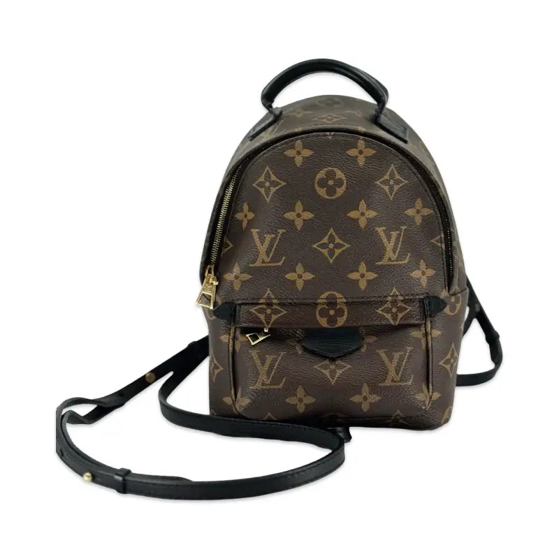 Louis Vuitton Palm Springs Mini Backpack | Monogram Canvas | Gold Hardware | PRE-OWNED EXCELLENT | Full Set